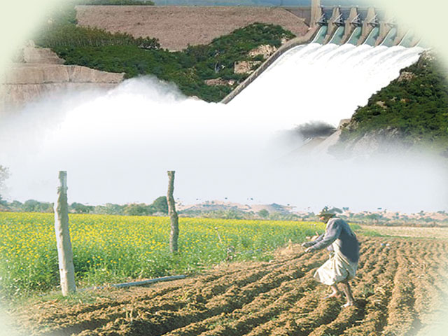 ربیع کی فصل کے لیے 72 لاکھ ایکڑ فٹ پانی کی کمی کاسامنا