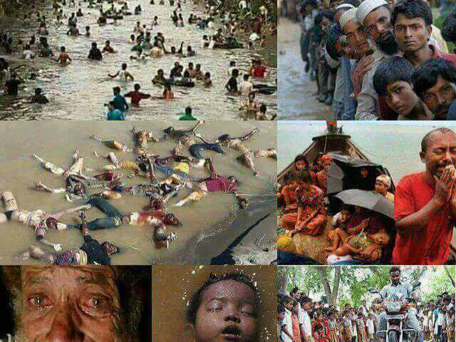 تحریک انصاف نے روہنگیا میں مسلمانوں کے قتل عام کے خلاف سند ھ اسمبلی میں مذمتی قرارداد جمع کرادی