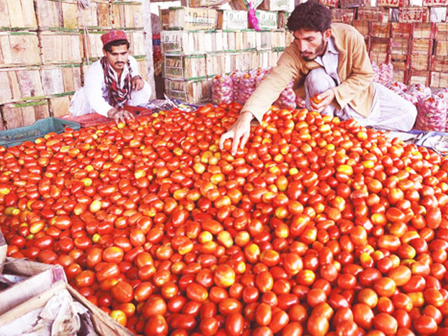 بھارت سے ٹماٹر کی درآمد پر پابندی سے 100بلین روپے کی بچت ،پاکستانی کسان کا مالی تحفظ بھی ہوا