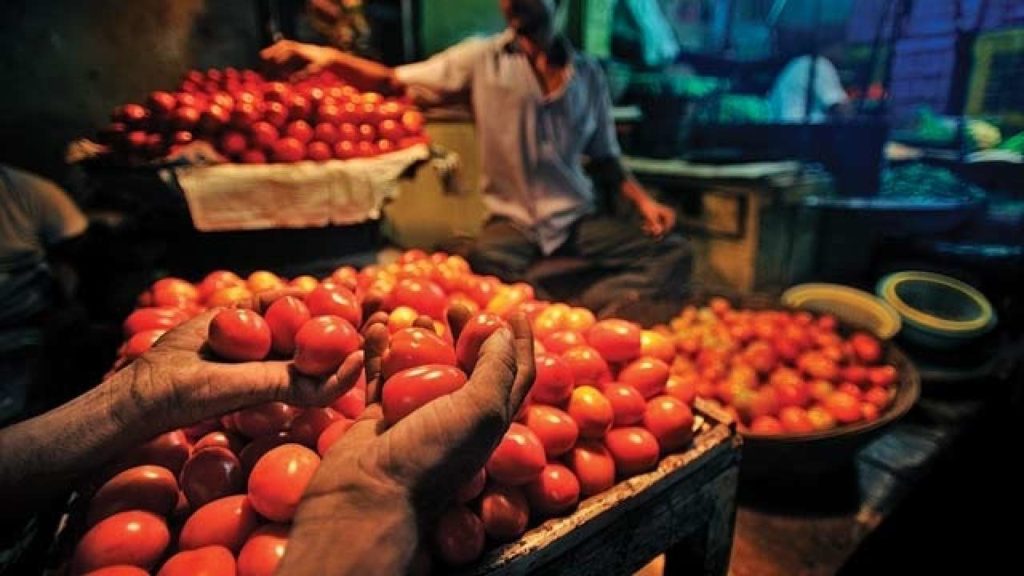بدین، ٹماٹر کی نئی فصل آتے ہی کوڑیوں کے مول بکنے لگی۔5روپے کلو فروخت