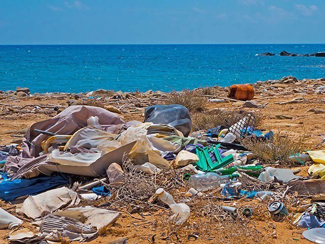 سمندروں میں پلاسٹک کے ٹکڑے آلودگی کے گڑھ بن رہے ہیں‘رپورٹ
