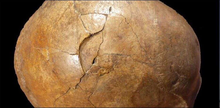 نیو یارک، سائنسدانوں نے 33 ہزار سال قبل ہونےوالے قتل کا معمہ حل کرلیا