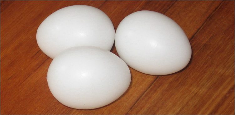 شہر قائد میں پلاسٹک سے بنے انڈوں کی فروخت کا انکشاف