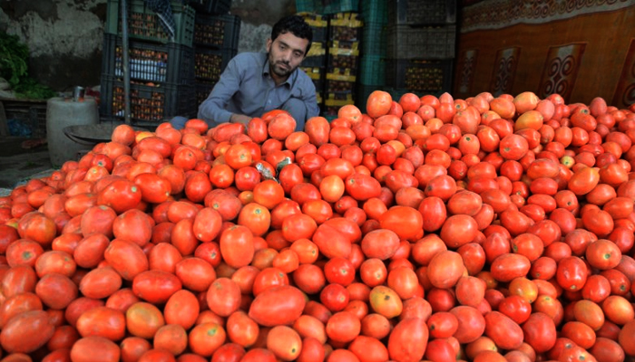 سندھ میں ٹماٹر کی قیمتیں نیچے نہ آسکیں