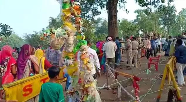 بھارت میں ہندوئو ں کا نیا ڈراما،شفا کیلئے درخت کی پوجا