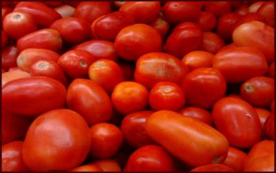 پی ٹی آئی کے رکن اسمبلی ارسلان تاج نے ٹماٹر کا ا سٹال لگا لیا