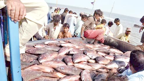 کورونا وائرس سے پاکستانی ماہی گیروں کی مشکلات میں اضافہ