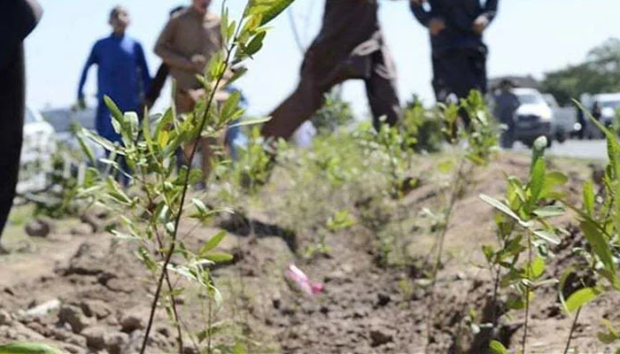 شجرکاری مہم منصوبے کاافتتاح میدان جنگ بن گیا مظاہرین کی پودوں پریلغار