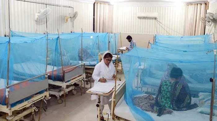 کراچی میں ڈینگی بخار کے مریض بڑھنے لگے