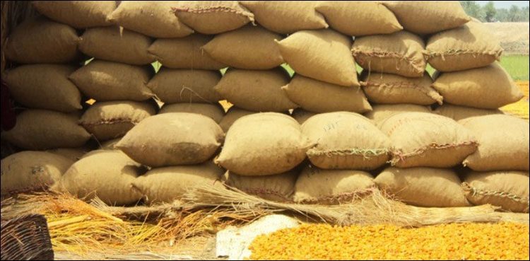 سندھ میں 60 ہزار سے زائد گندم کی بوریاں غائب