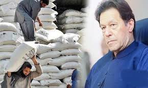 سندھ حکومت کی جاری گندم پر غلط بیانی پکڑی گئی