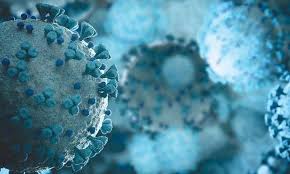 کورونا وائرس ، ملک بھر میں مزید39افراد جاں بحق