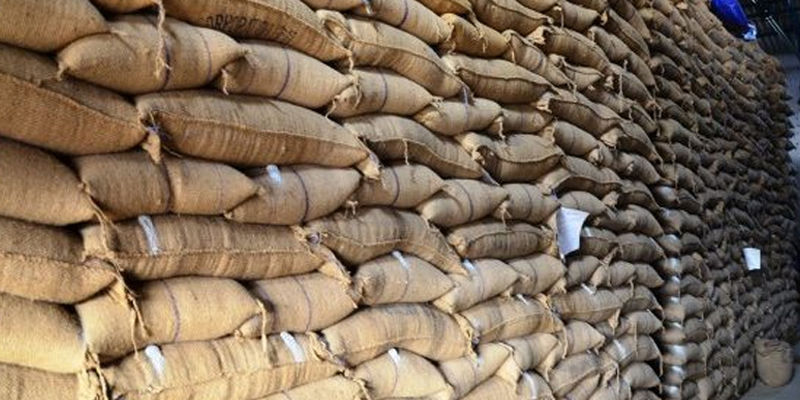 محکمہ خوراک سندھ کی غفلت، گندم کی بوریاں سات سال سے پڑی خراب ہوگئیں