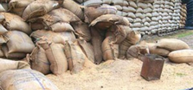سندھ حکومت کا گوداموں میں گندم خراب ہونے کا اعتراف