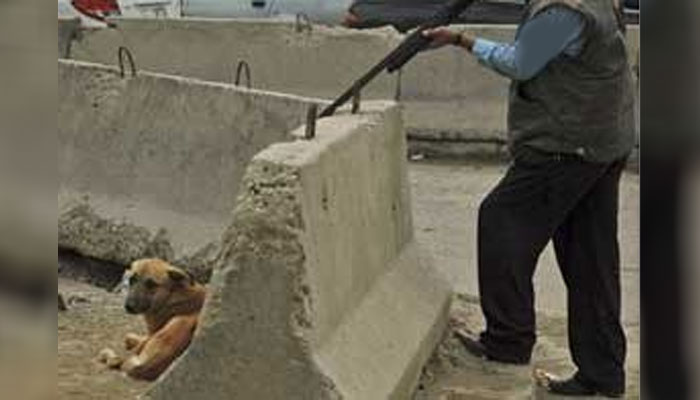 حیدرآبادمیں کتا مار مہم، بلدیہ کے افسر نے بندوق اٹھا لی