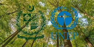 پاکستان آج ماحولیات کے عالمی دن کی میزبانی کرے گا