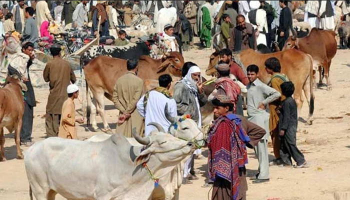 کراچی: شہر میں جانوروں کی خرید وفروخت پر پابندی
