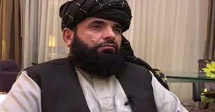 اقتدار پرامن طریقے سے منتقل کیا جائے ،کسی سے انتقام لینے کا ارادہ نہیں،ترجمان طالبان