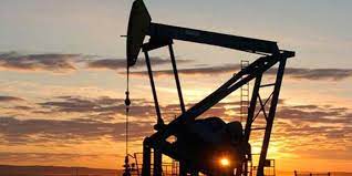 عالمی مندی میں خام تیل کی قیمتوں میں اضافہ ،ملکی معیشت کیلئے خطرے کی گھنٹی