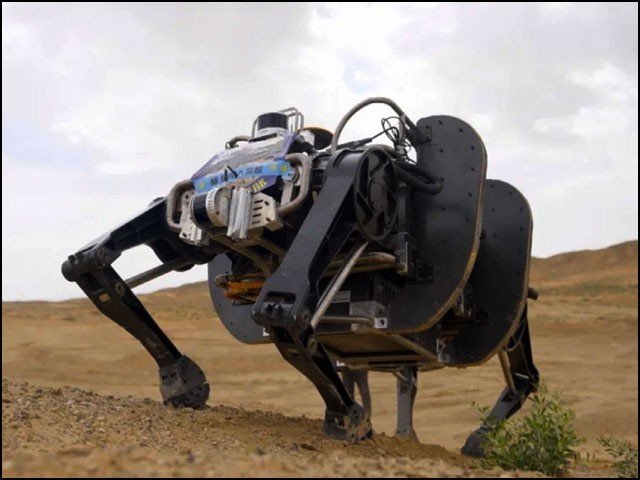چین نے دنیا کا سب سے بڑا 'روبوٹ بیل' تیار کرلیا