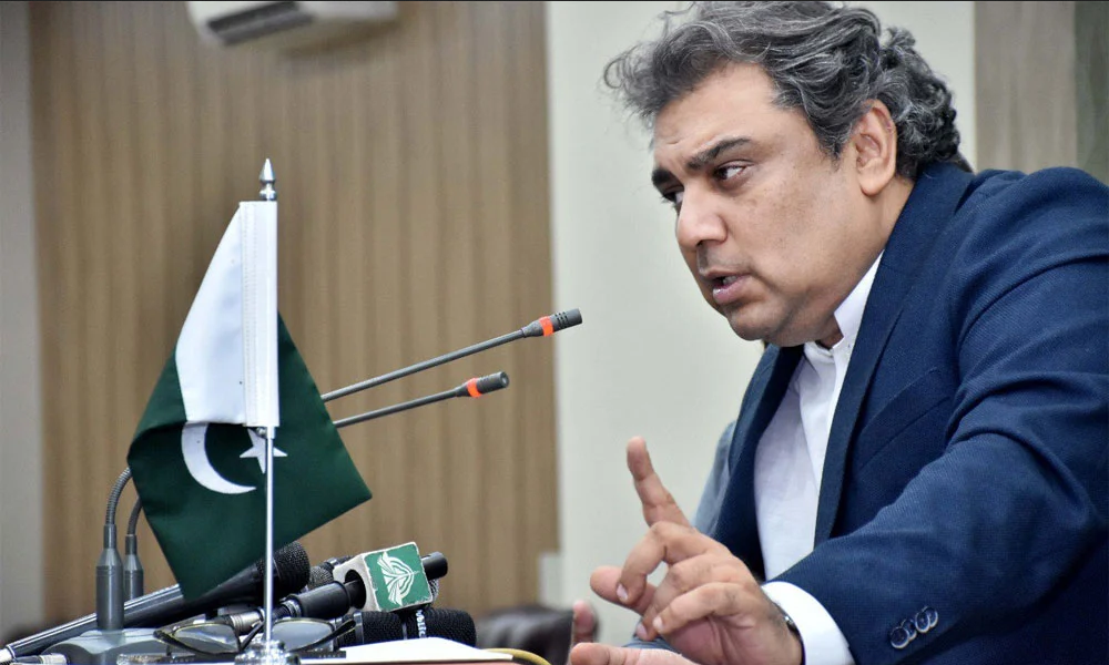 زرداری نے مافیا کے گاڈفادر کی طرح سندھ کو تباہ کردیاوفاقی وزیر بحری امورعلی زیدی