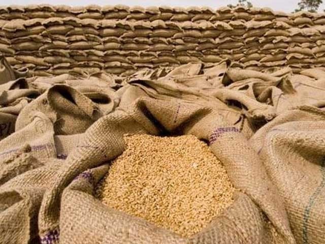 گندم کی قیمت میں فی من400 روپے اضافے کاخدشہ