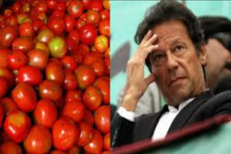 سیاست میں آلو ٹماٹر کی قیمت کے لیے نہیں آیا، عمران خان