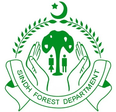 سندھ کی طاقتور شخصیت کے فرنٹ مین کا محکمہ جنگلات کی زمین پر قبضہ