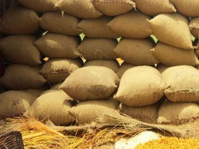 محکمہ خوراک سندھ کیلئے گندم کی خریداری چیلنج بن گئی