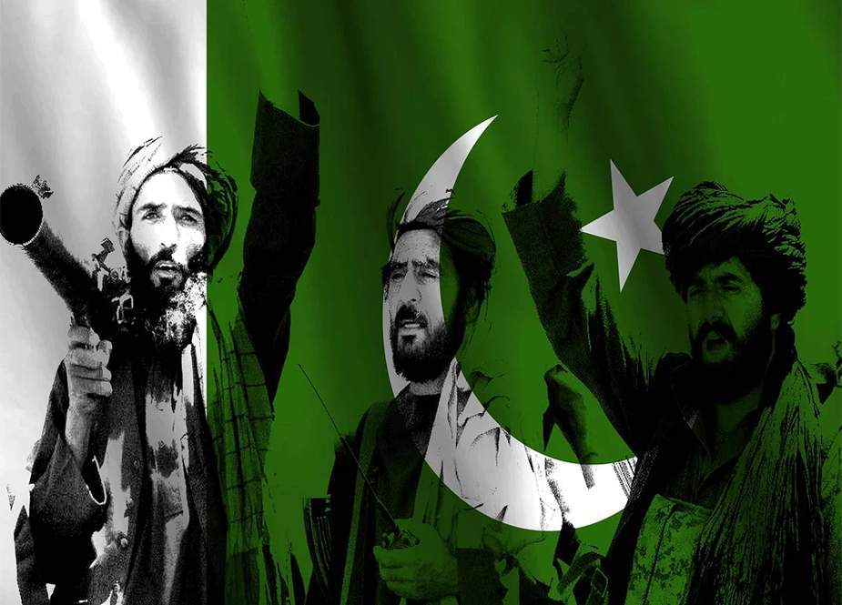 حکومت ،کالعدم تحریک طالبان کے مذاکرات ناکام، سیز فائر برقرار