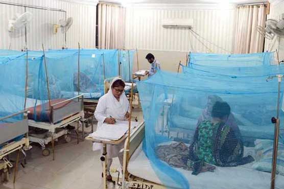 کراچی میں ڈینگی بے قابو ،76 کیس سامنے آ گئے محکمہ صحت نے تصدیق کردی