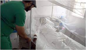 کراچی سمیت سندھ بھر میں ڈینگی بے قابو ہو گیا 27 افراد جاں بحق