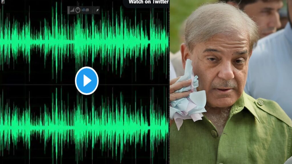 وزیراعظم شہباز شریف کی ایک اور آڈیو افشاء ہو گئی