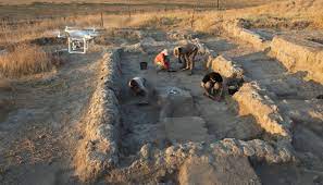 اسرائیل میں 7 ہزار سال قدیم پاکستانی کپاس دریافت