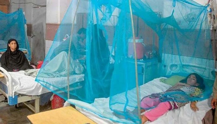 سندھ میں یومیہ ایک ہزار لوگ ملیریا کا شکار ہونے لگے