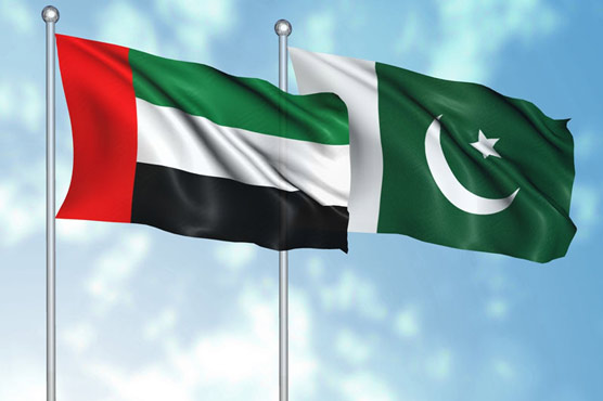 متحدہ عرب امارات کی پاکستان کو ایک ارب ڈالر امداد کی تصدیق