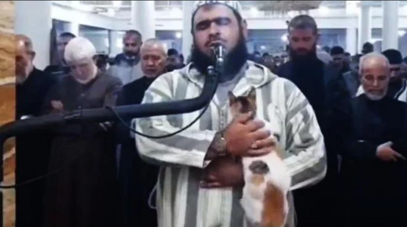 بلی سے حسن سلوک کرنے والے امام کی ایک اور ویڈیو وائرل