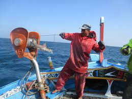 ماہی گیری میں تبدیلی سے پاکستانی سمندر میں نایاب انواع کا شکار ختم