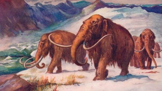 قدیم دور کے ہیبت ناک ہاتھی (میمتھ)