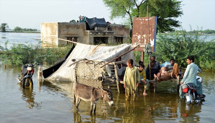 سندھ، سیلاب متاثرین کا سامان ہالہ کی مارکیٹ میں فروخت ہونے کا انکشاف