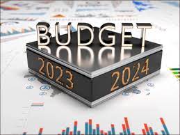 مالی سال 24-2023ء کا وفاقی بجٹ قومی اسمبلی سے منظور