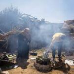 فلسطین میں تربوز کو جلا کر بنائی جانے والی مزیدار ڈِش کے چرچے