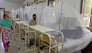 سندھ میں ملیریا کیسز میں شدید اضافہ،اسپتالوں میں خصوصی وارڈ کا فیصلہ