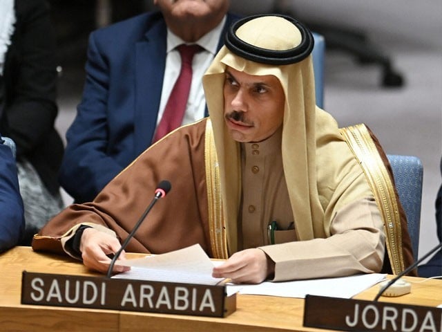 غزہ ملبے کا ڈھیر بن گیا،سب خاموش ہیں، سعودیہ کی سلامتی کونسل پر تنقید