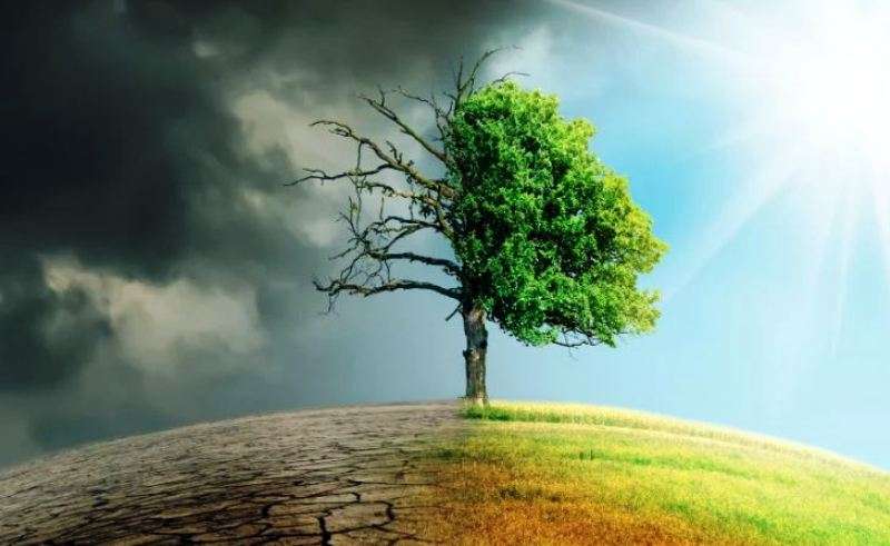 موسمیاتی تبدیلی کے مقابلے کیلئے درخت لگائیں ،ماہرین ماحولیات