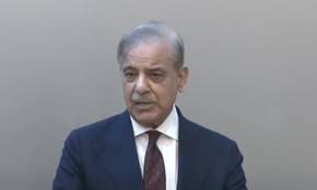 وزیر اعظم شہباز شریف نون لیگ کی صدارت سے مستعفی