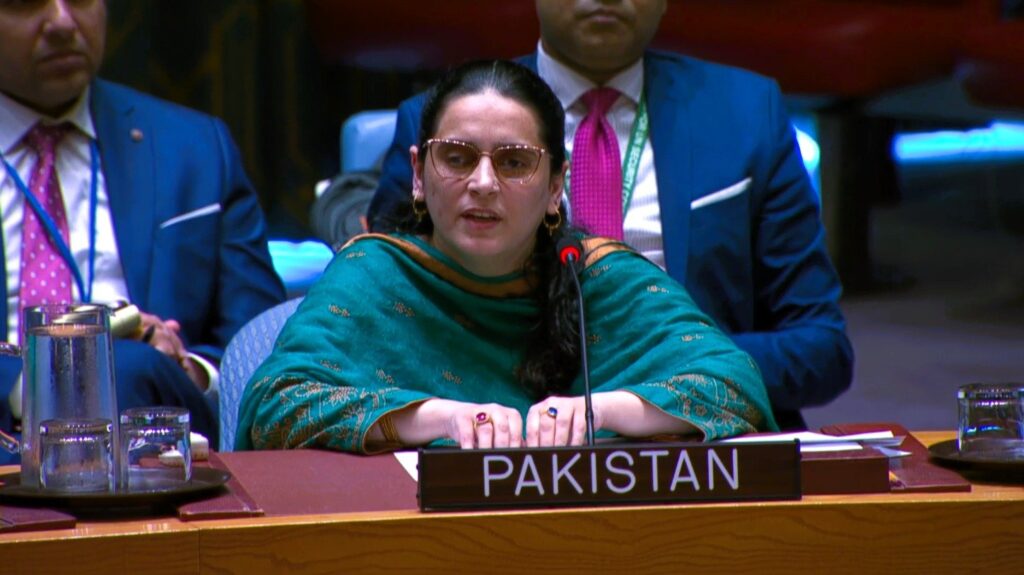 پانی جنگ کا ہتھیار نہیں،بھارت ریاستی دہشت گردی بند کرے،پاکستان