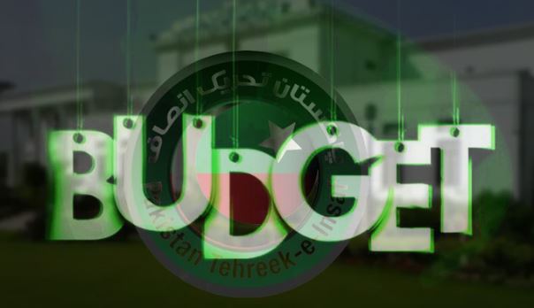 خیبرپختونخوا،تحریک انصاف میں اندرونی اختلافات ( بجٹ کے بائیکاٹ کا خدشہ)