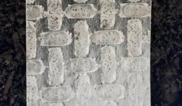 رائس پیپر سے روبوٹ بنانے کاطریقہ دریافت