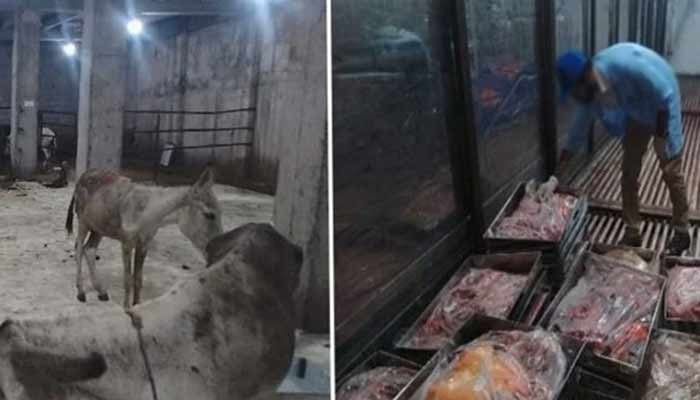 اسلام آباد میں گدھے کا گوشت برآمد ہونے کی تحقیقات مکمل